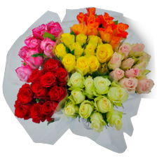 Rozen